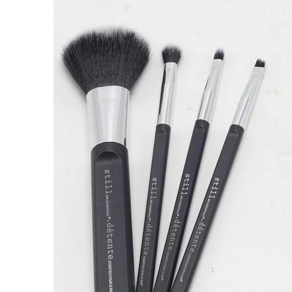 4 Pc Beauty Brush set